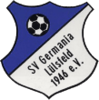 logo svg lülsfeld