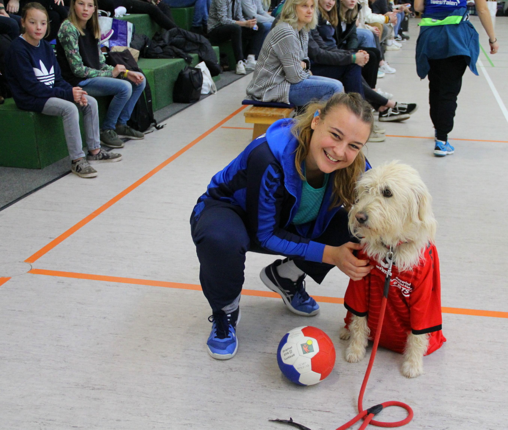 Ellis Hund b
