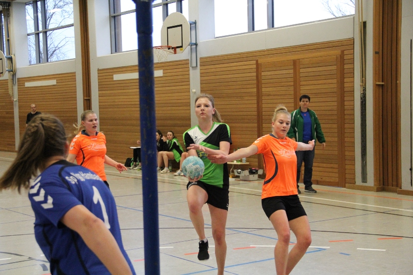 2016 03 19 Hambach Schraudenbach Kopie