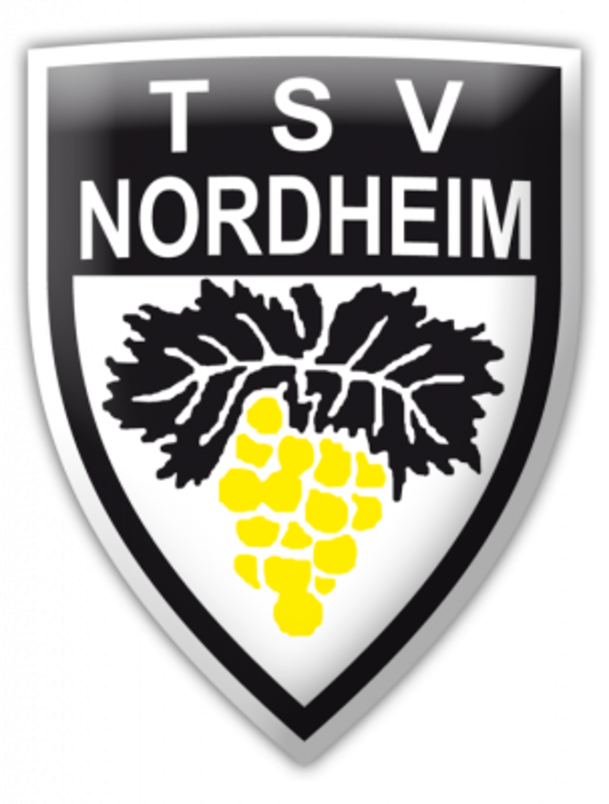 TSV Nordheim Logo